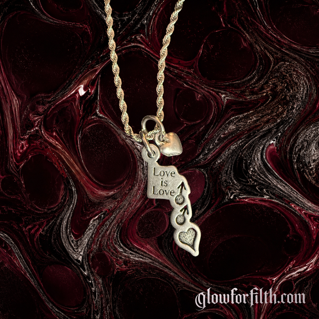 Silver-tone rope chain necklace featuring a lead-free pewter Love Is Love pendant with male-male symbols and a silver-tone heart accent displayed on a gothic burgundy and black marbled background detailed shot.