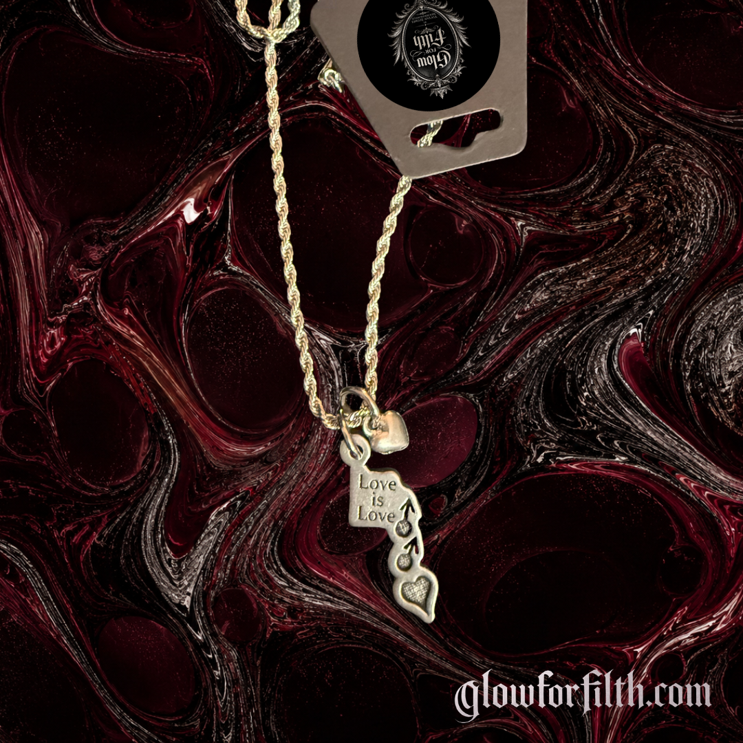 Silver-tone rope chain necklace featuring a lead-free pewter Love Is Love pendant with male-male symbols and a silver-tone heart accent displayed on a gothic burgundy and black marbled background.