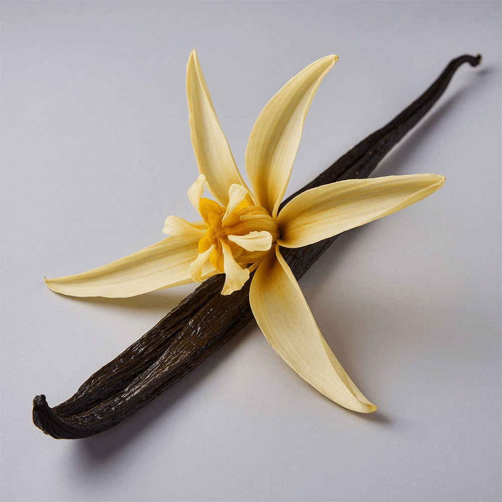 DRAMA FATALE:  Whipped Tallow Balm