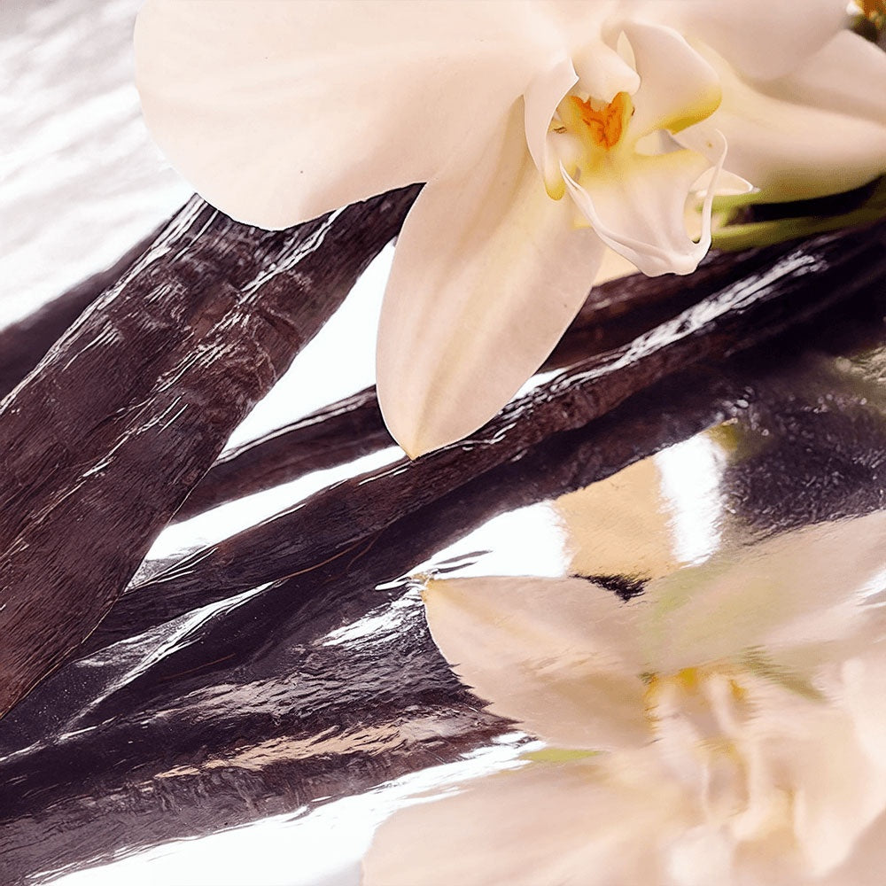 DRAMA FATALE:  Whipped Tallow Balm